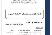 الذكاء الترابي ورهان جلب الاستثمار الجهوي