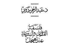فلسفة القانون والسياسة