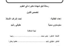 الاجتهاد القضائي الإداري