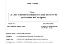 La GRH à travers les compétences pour améliorer la performance de l’entreprise