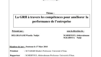 La GRH à travers les compétences pour améliorer la performance de l’entreprise