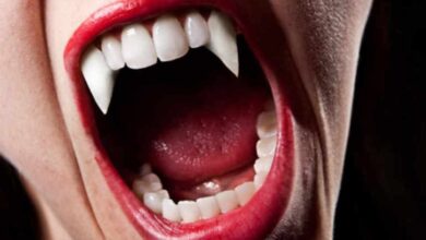 محكمة النقض تعتبر الأسنان سلاحا إذا استعملت في قطع “لحم” الضحية عن طريق العض