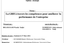 La GRH à travers les compétences pour améliorer la performance de l’entreprise