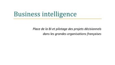 Business intelligence  