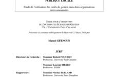 LE MANAGEMENT DE LA PERFORMANCEPUBLIQUE LOCALE