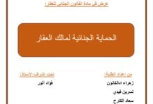 الحماية الجنائية لمالك العقار