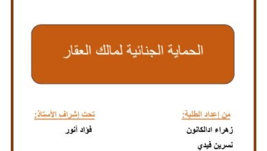 الحماية الجنائية لمالك العقار