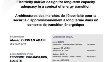 Electricity market design for long-term capacity adequacy in a context of energy transition