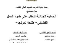 الحماية الجنائية للعقار على ضوء العمل القضائي- طنجة نموذجا