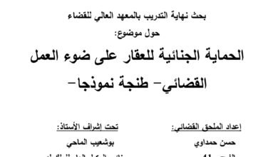 الحماية الجنائية للعقار على ضوء العمل القضائي- طنجة نموذجا