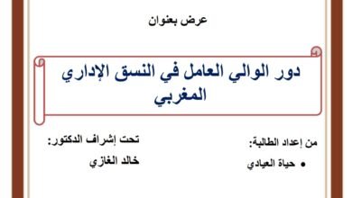 دور الوالي العامل في النسق الإداري المغربي